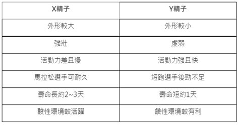 生男女機率|生男生女精子是關鍵！醫師：性行為時試試這樣做｜親 